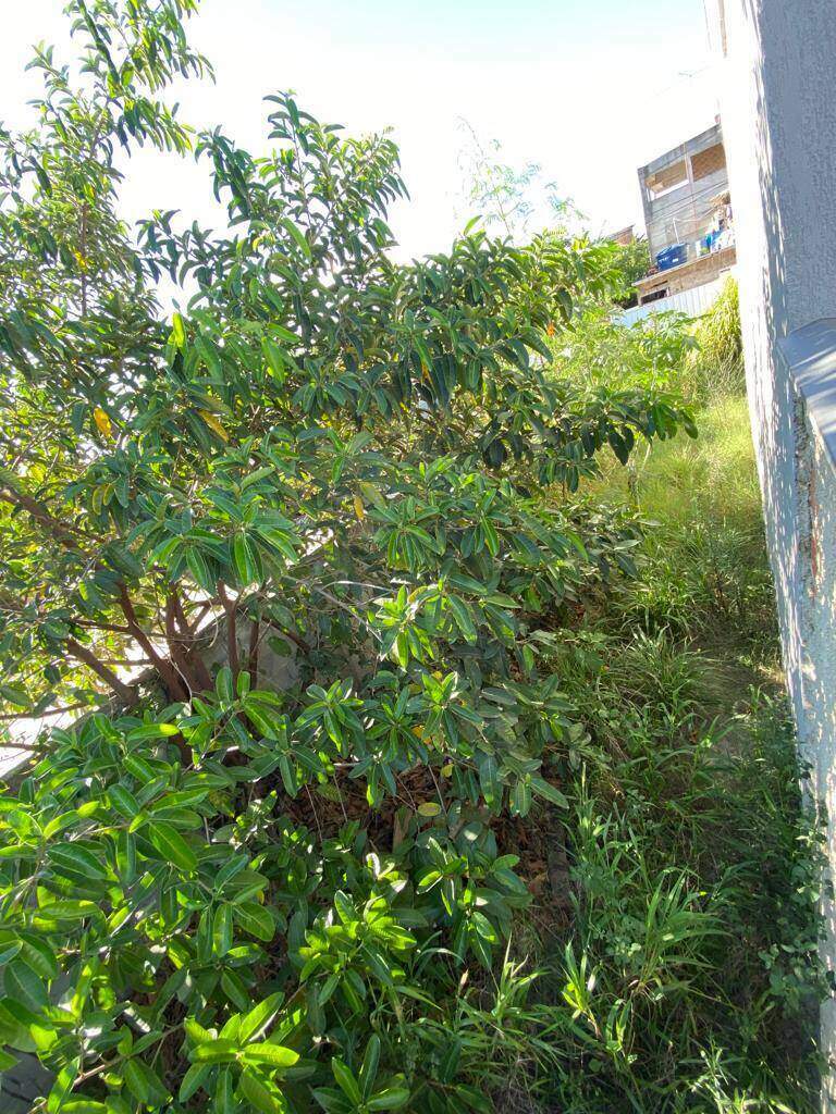 Casa à venda no Monte alegre: 