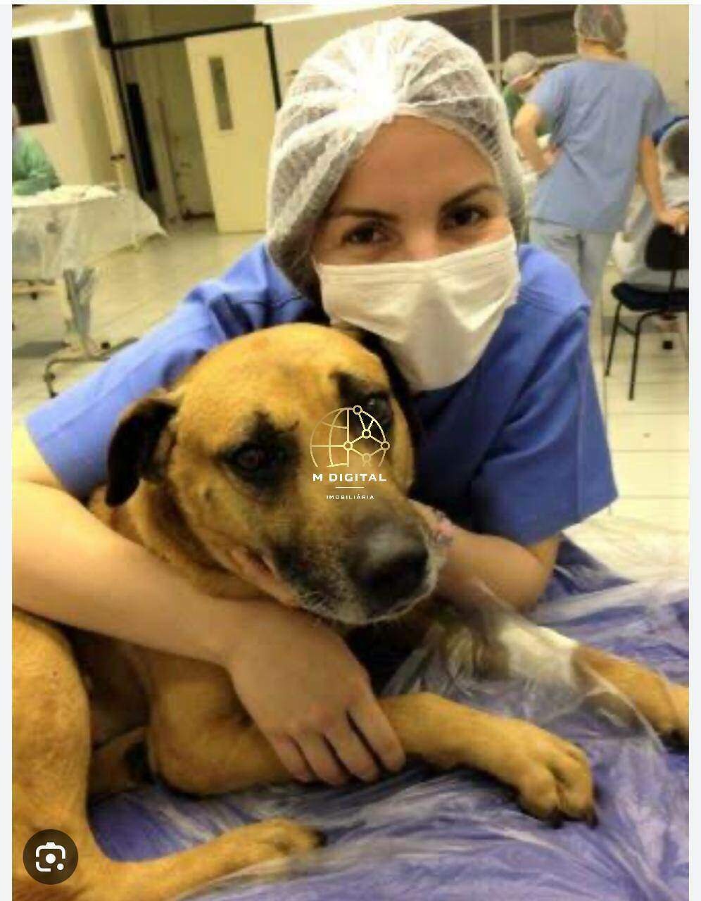 Empresa à venda no Não Informado: 