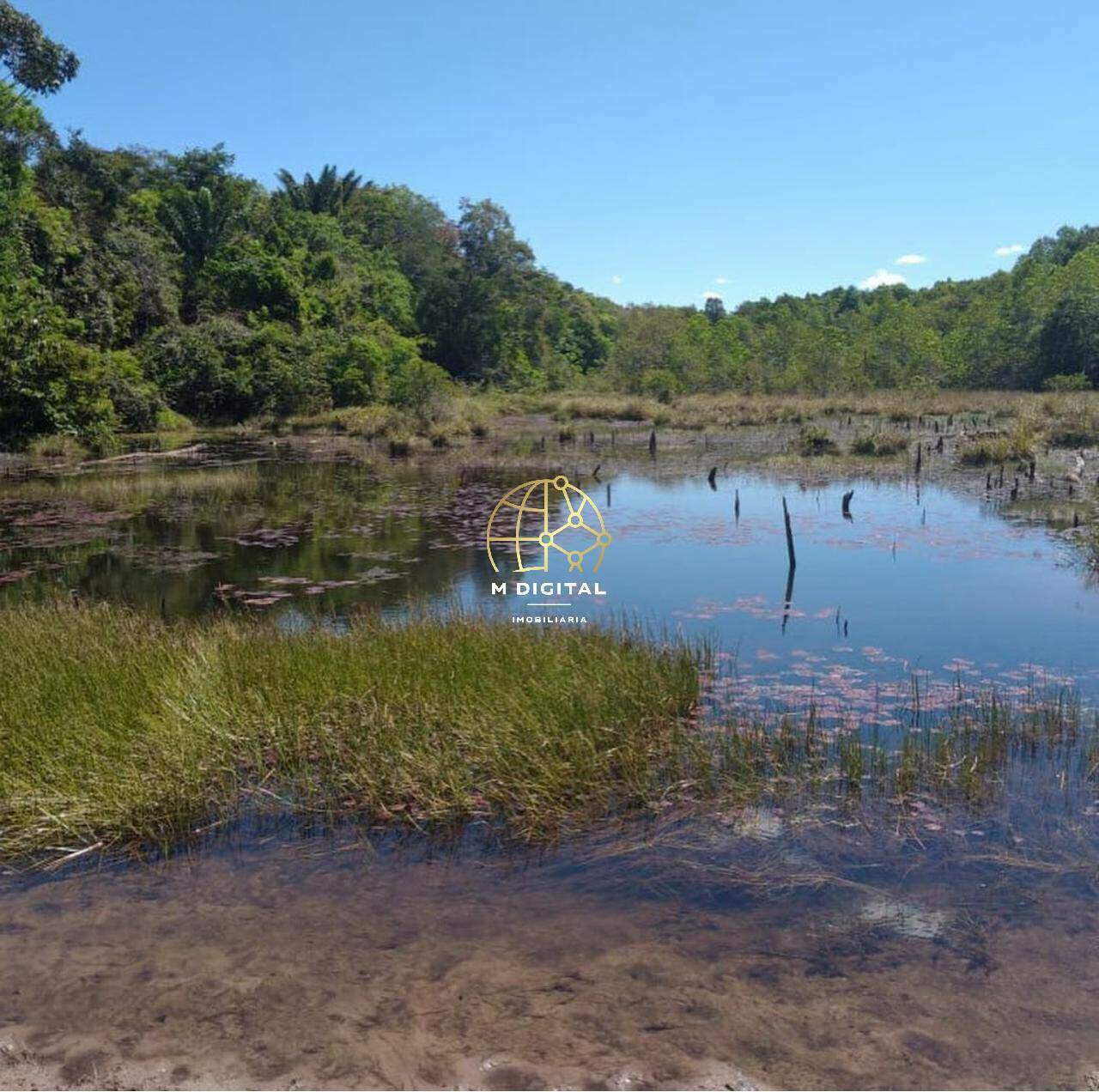 Fazenda à venda no Não Informado: 