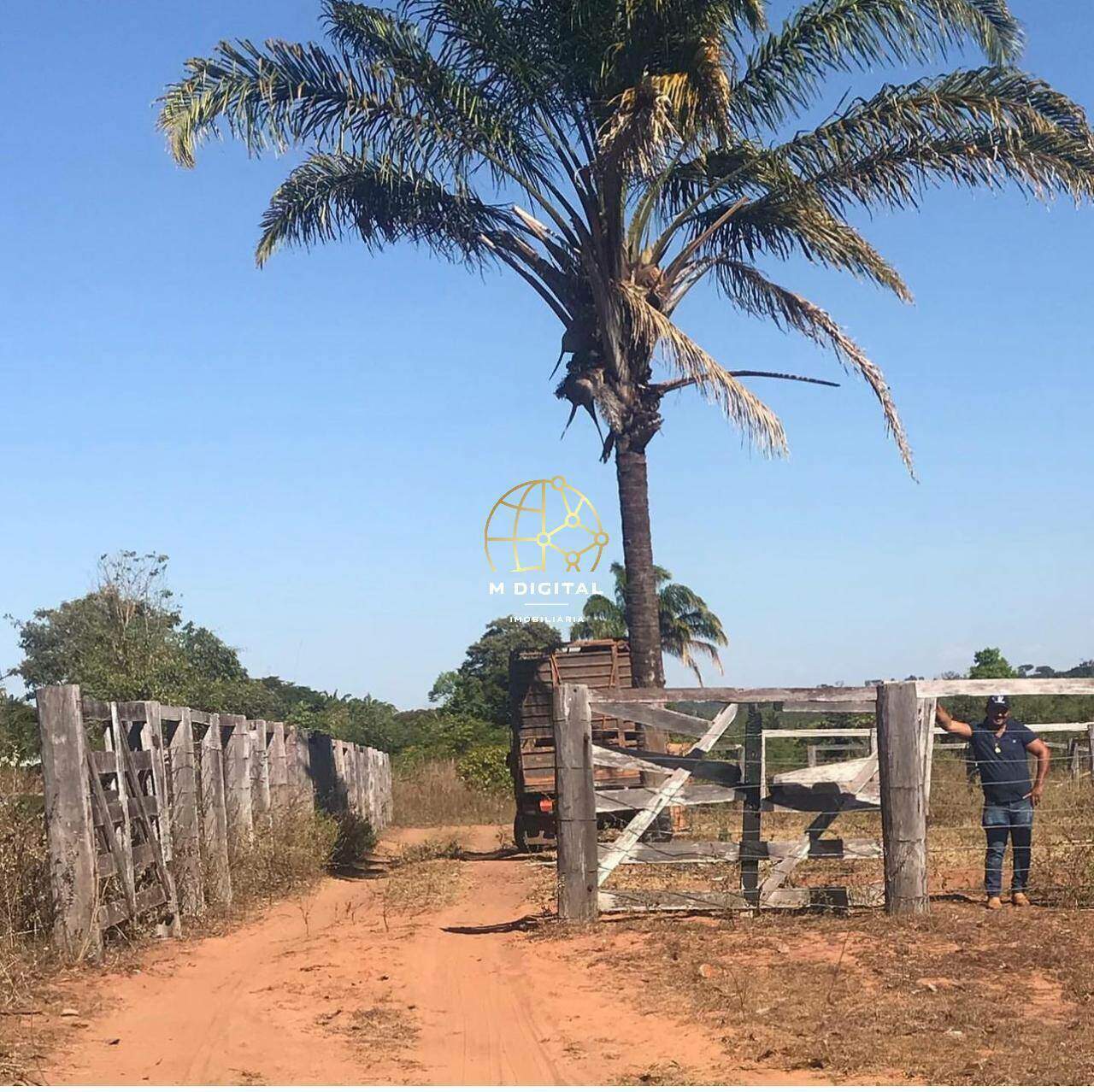 Fazenda à venda no Não Informado: 