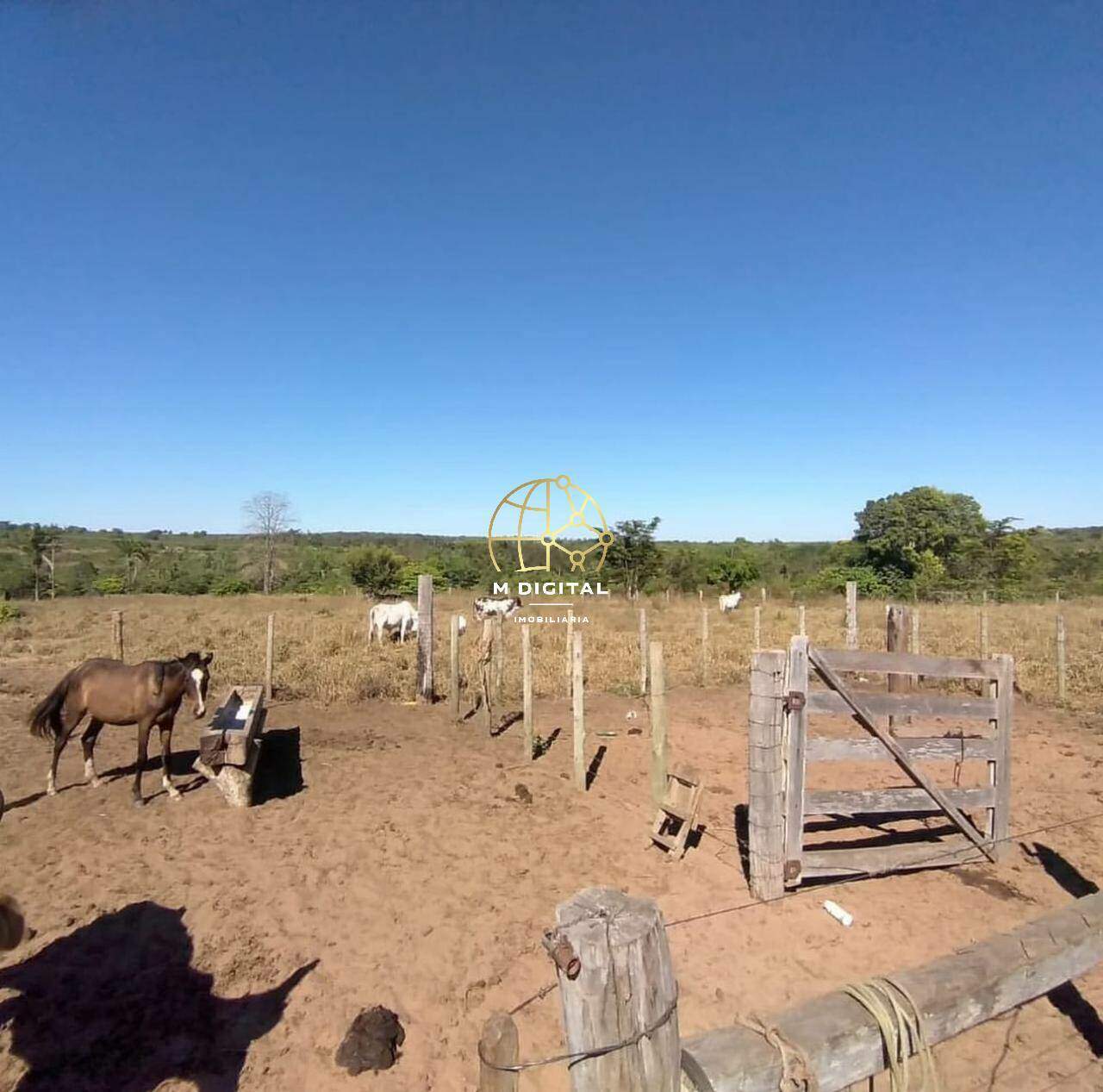 Fazenda à venda no Não Informado: 