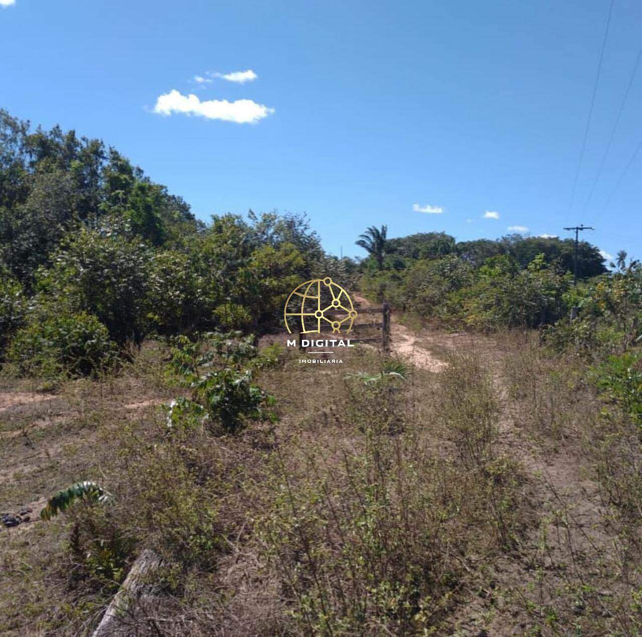 Fazenda à venda no Não Informado: 