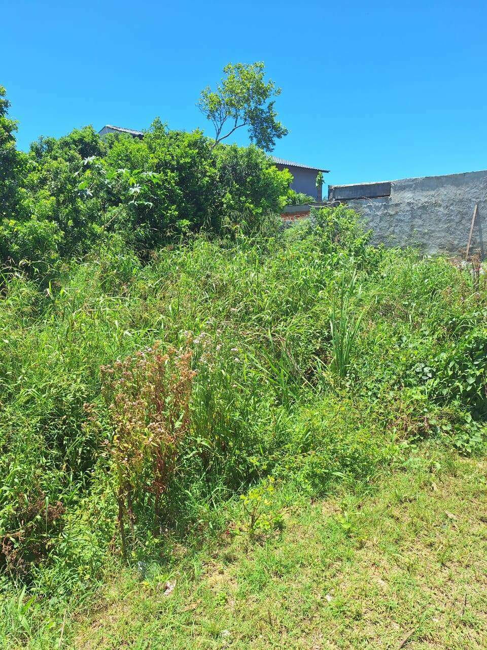 Terreno à venda no Guriri: 