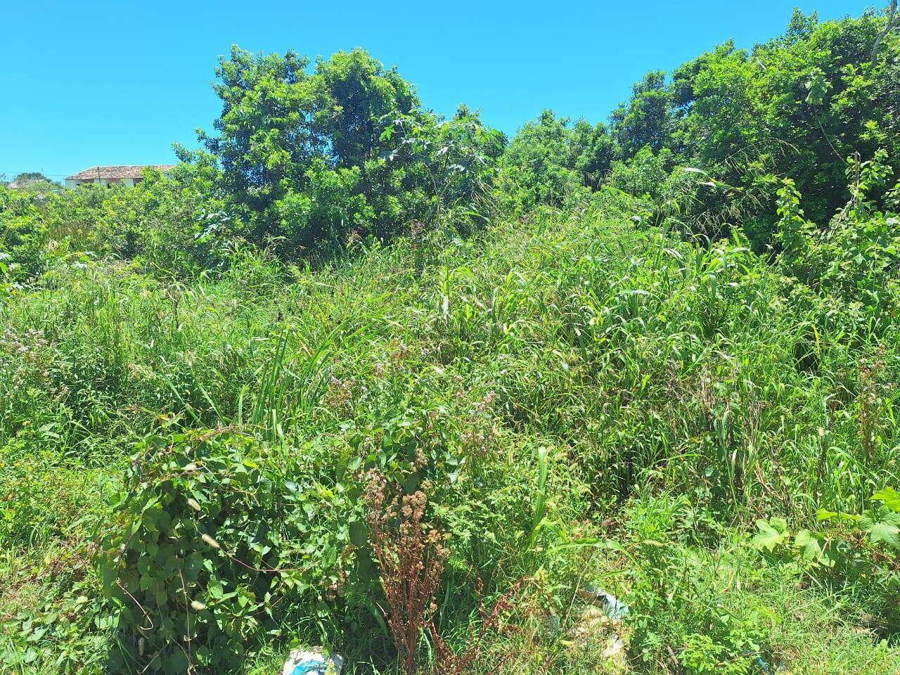 Terreno à venda no Guriri: 