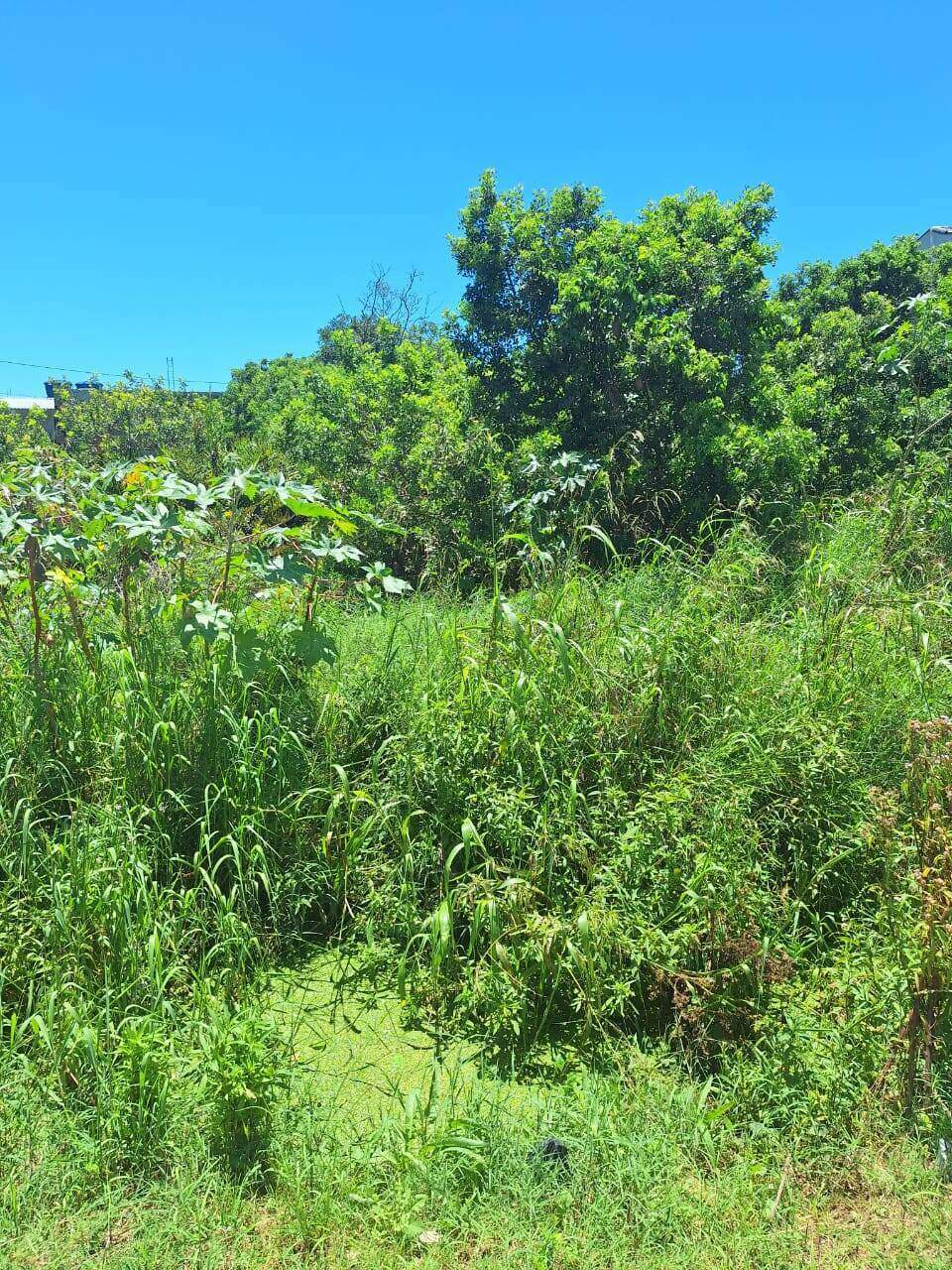 Terreno à venda no Guriri: 