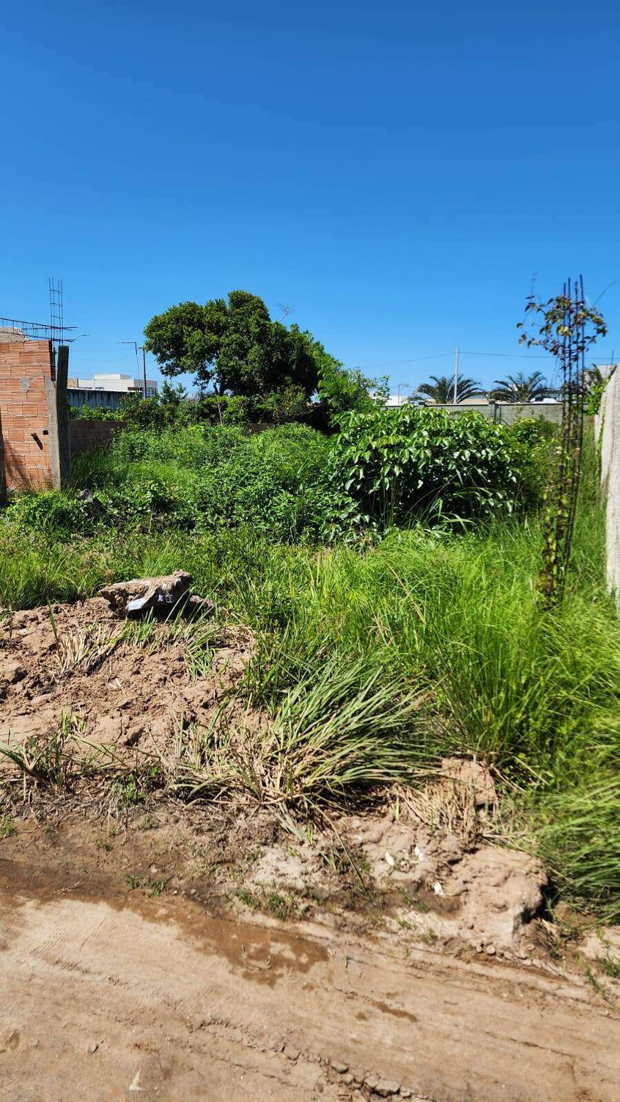 Terreno à venda no Guriri: 