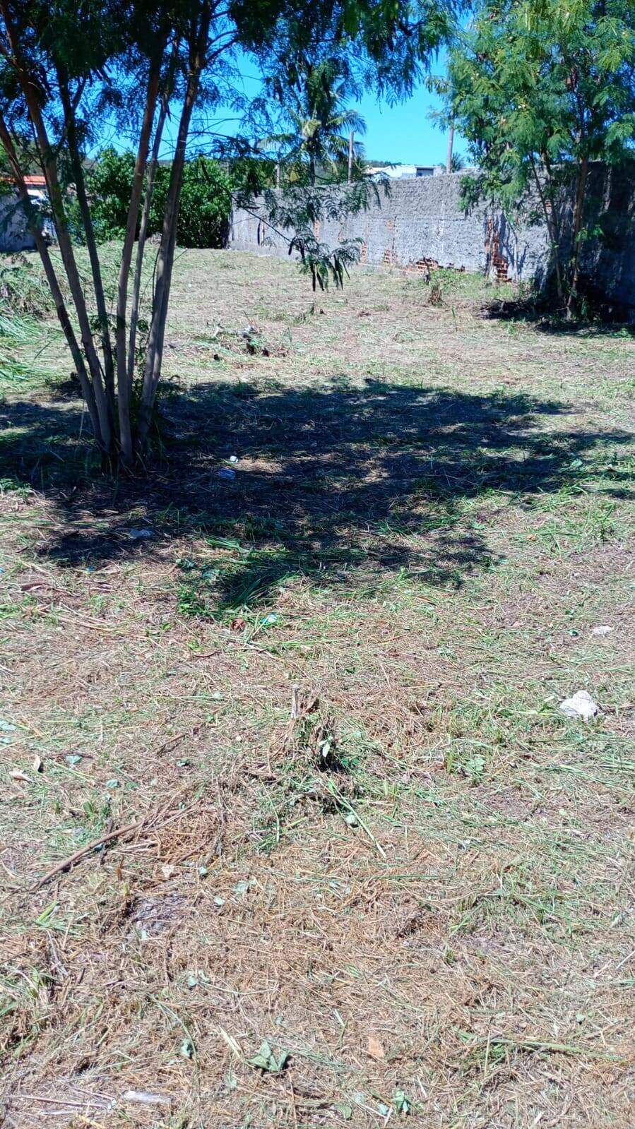 Terreno à venda no Ogiva: 