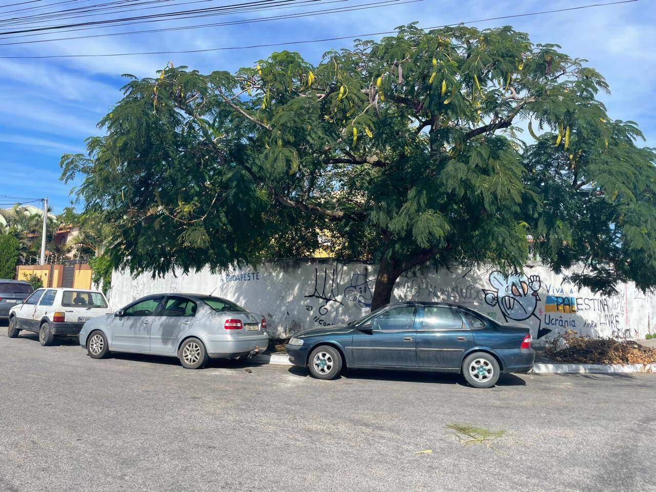 Terreno à venda no Parque Burle: 