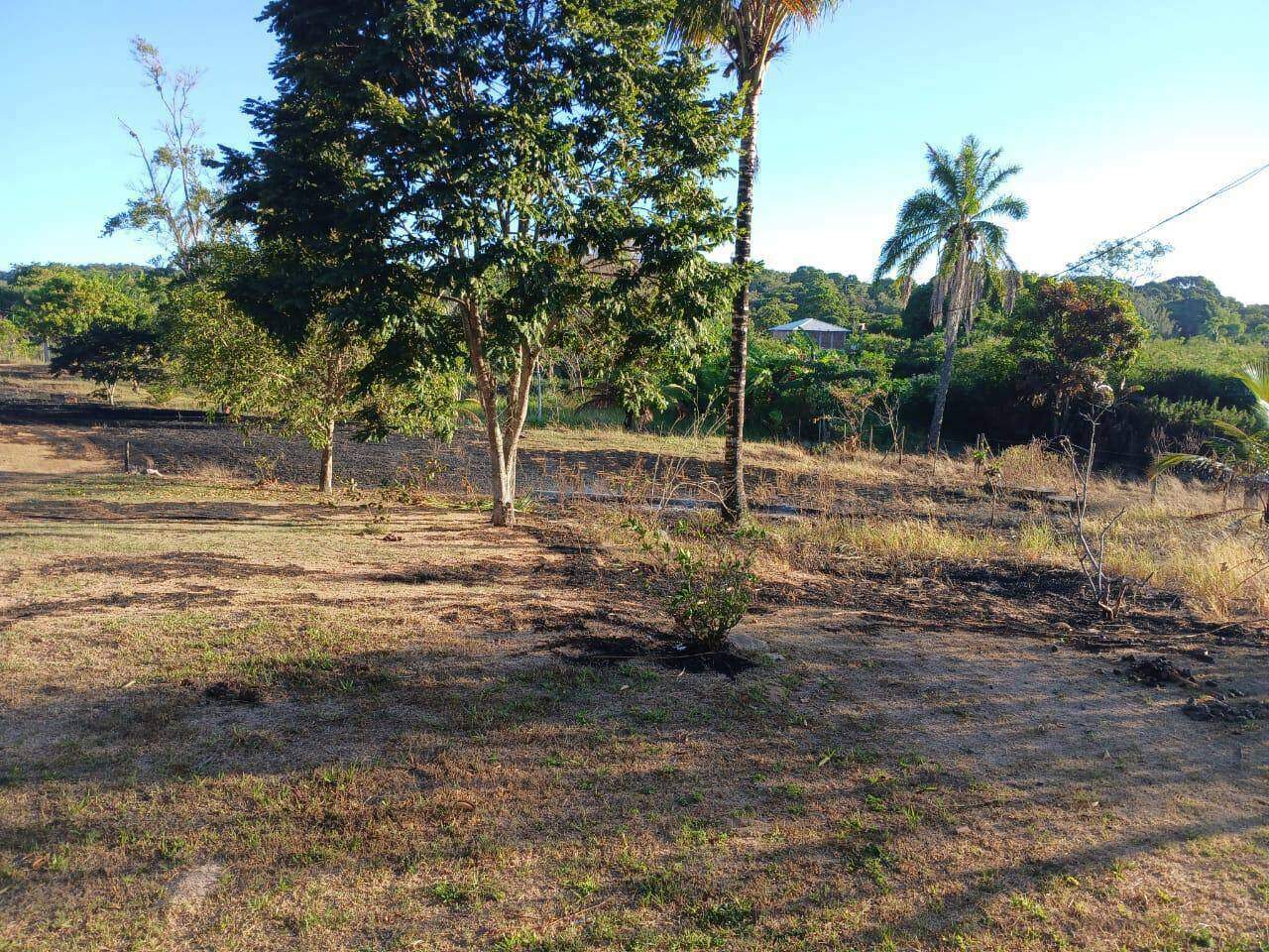 Chácara à venda no Bonsucesso: 