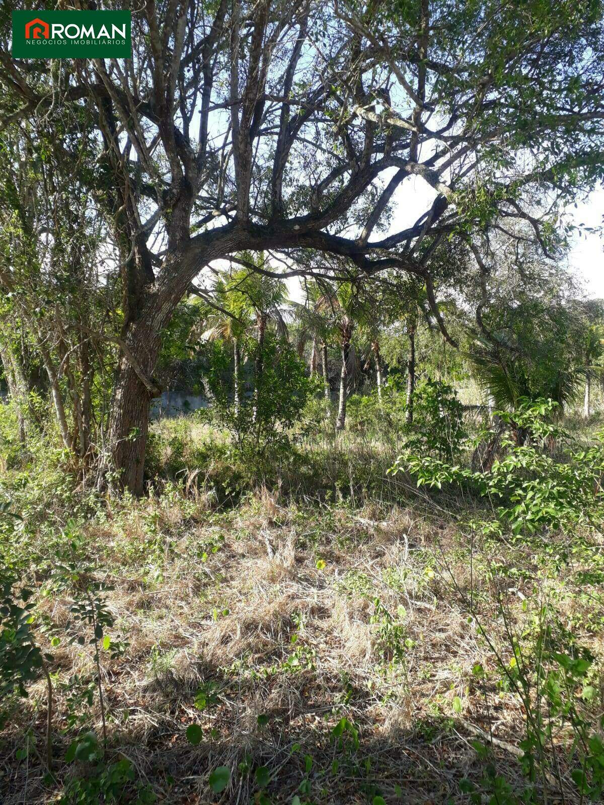 Terreno à venda no Caravelas do peró: 