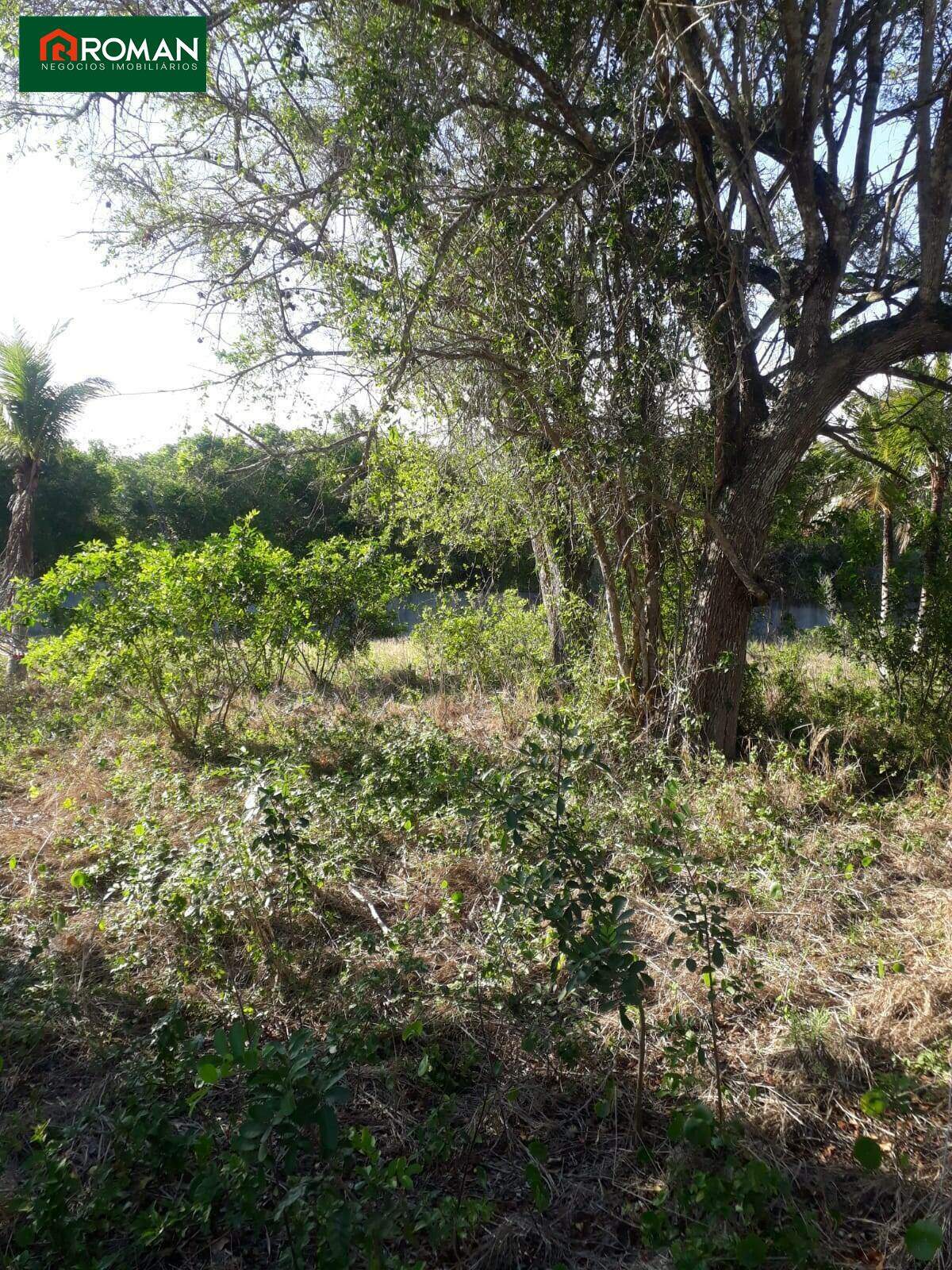 Terreno à venda no Caravelas do peró: 