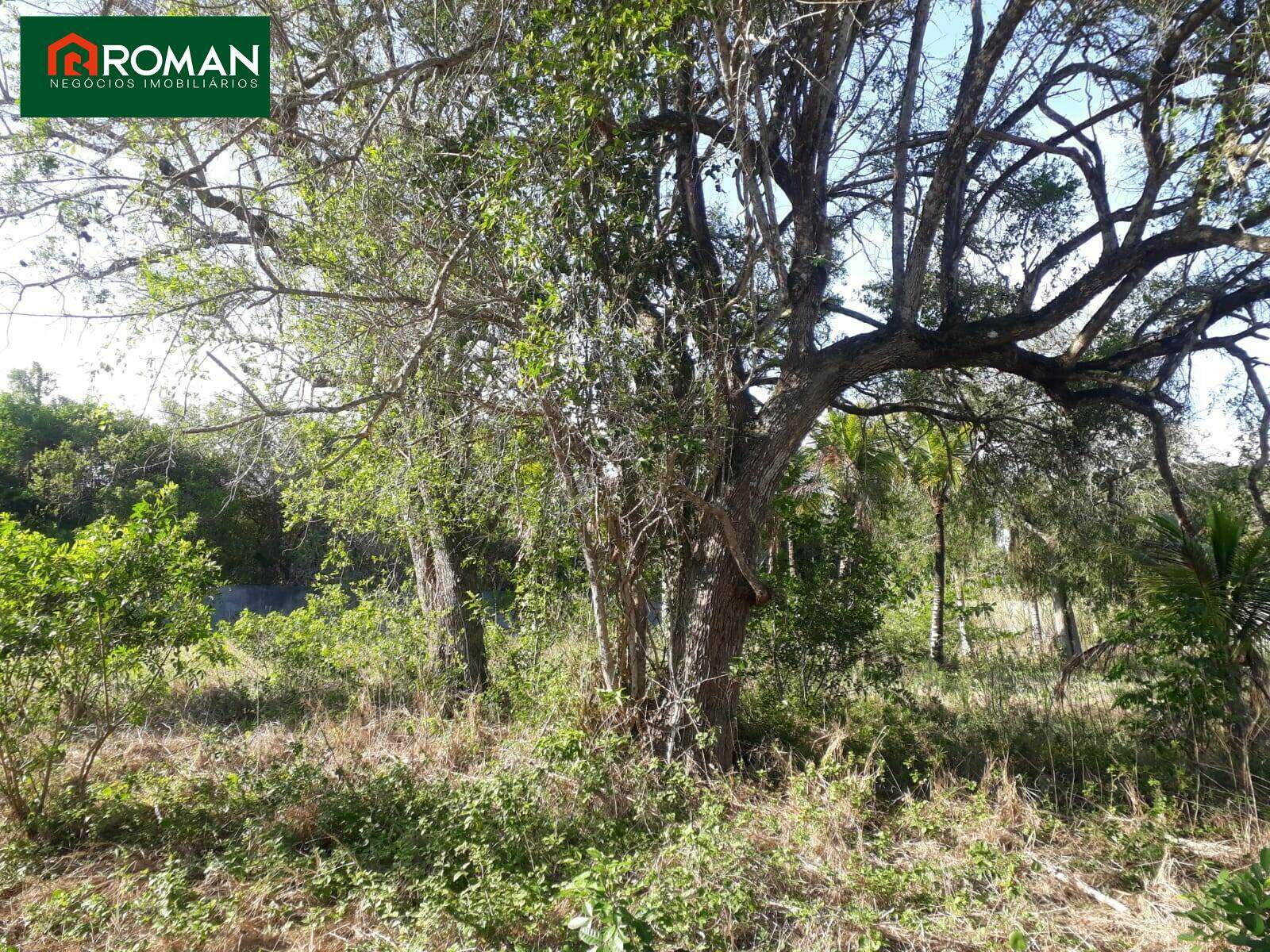 Terreno à venda no Caravelas do peró: 