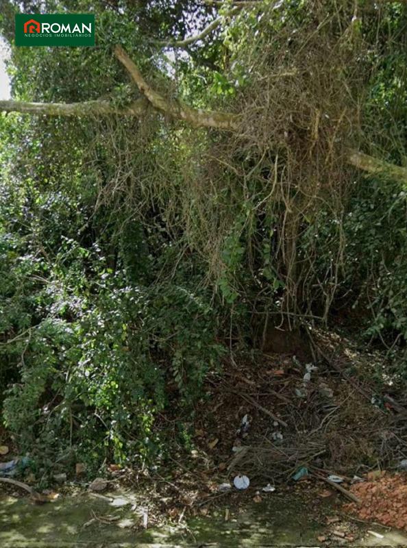 Terreno à venda no Peró: 