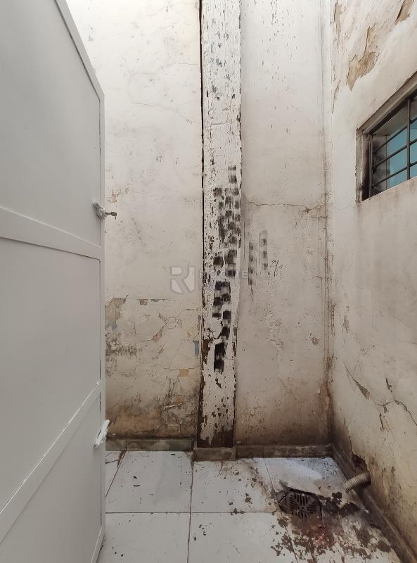 Salão para aluguel no bairro Centro: Jardim de inverno 