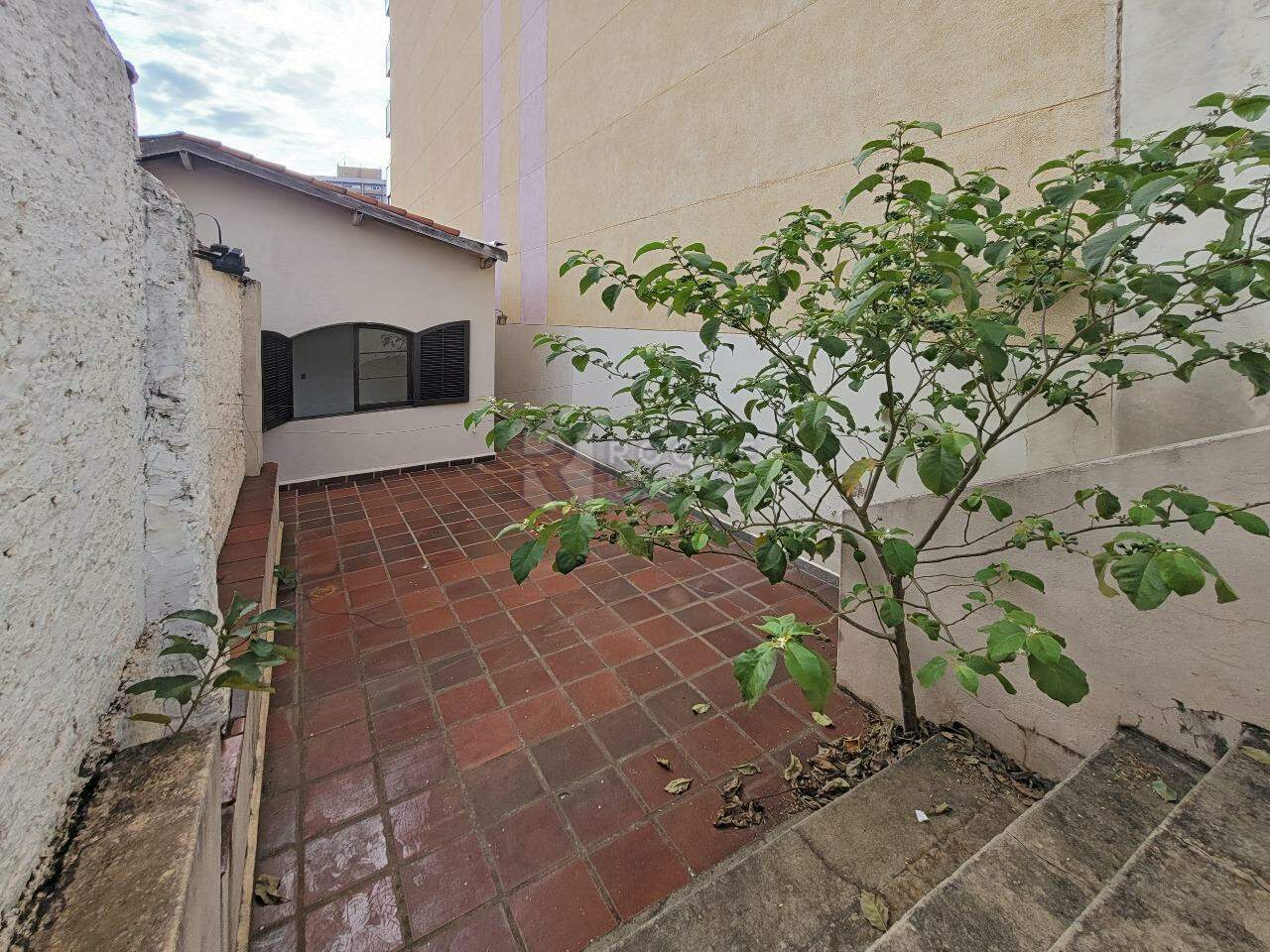 Casa Residencial para aluguel no bairro Centro: Quintal