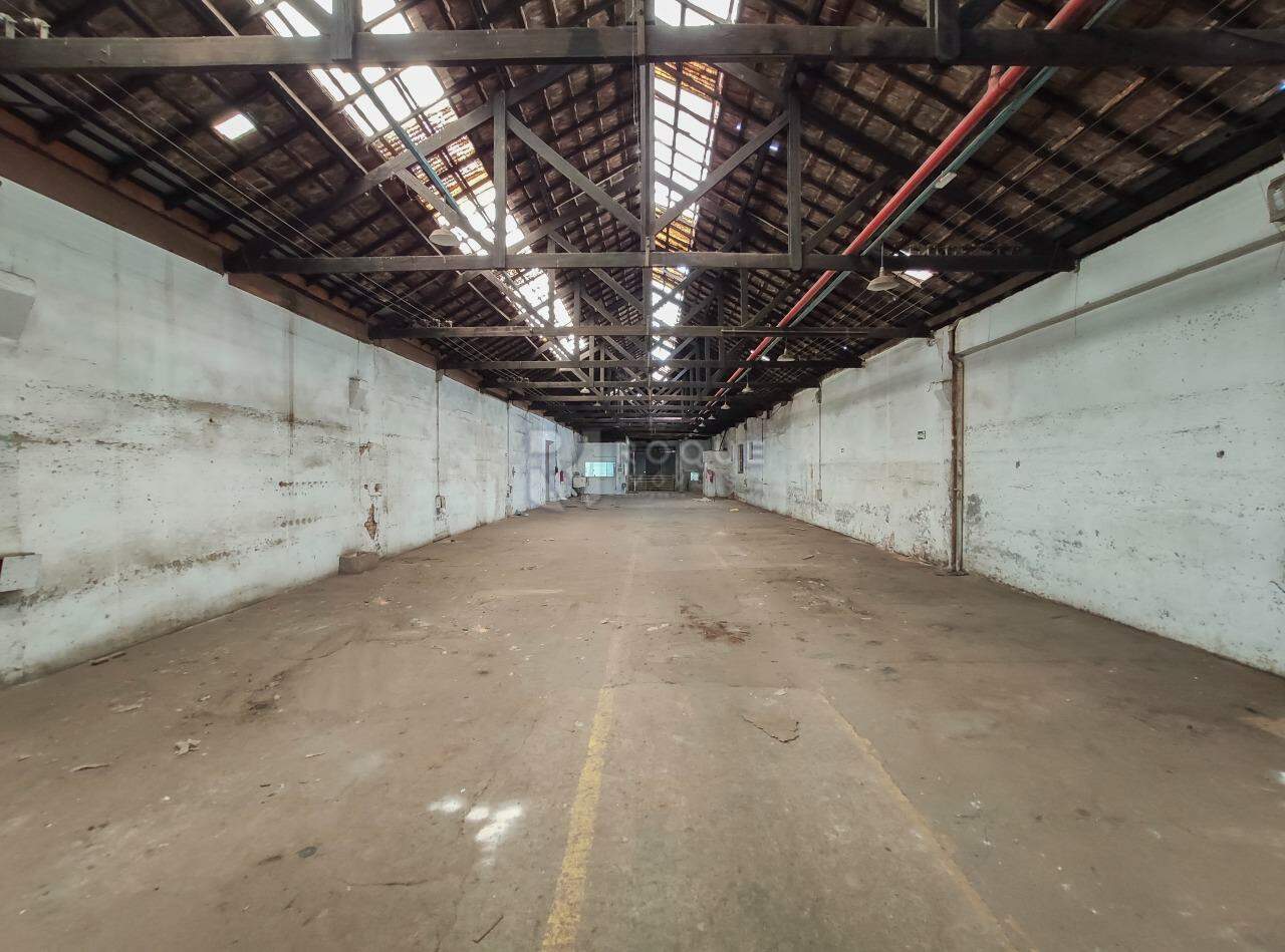 Barracão/Galpão para aluguel no bairro Vila Anita: Galpão 