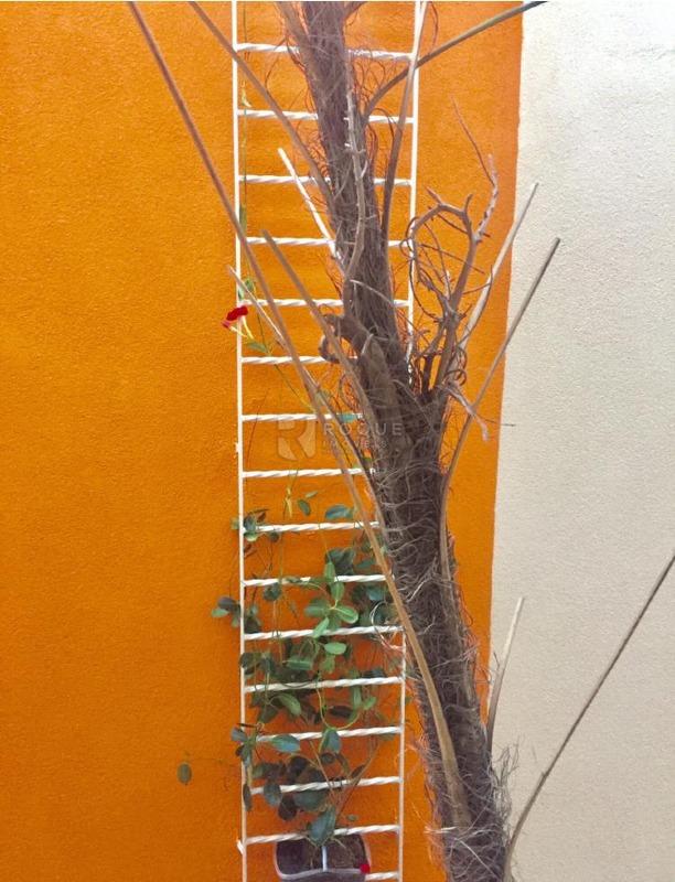 Casa Comercial à venda no bairro Vila Anita: 