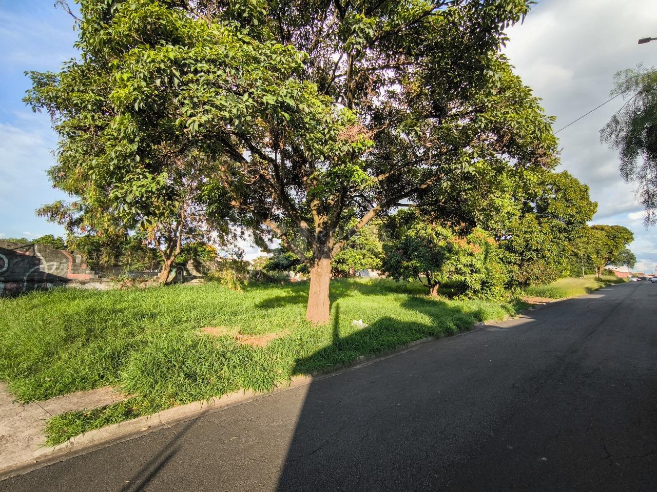 Área à venda no bairro Jardim da Graminha: 