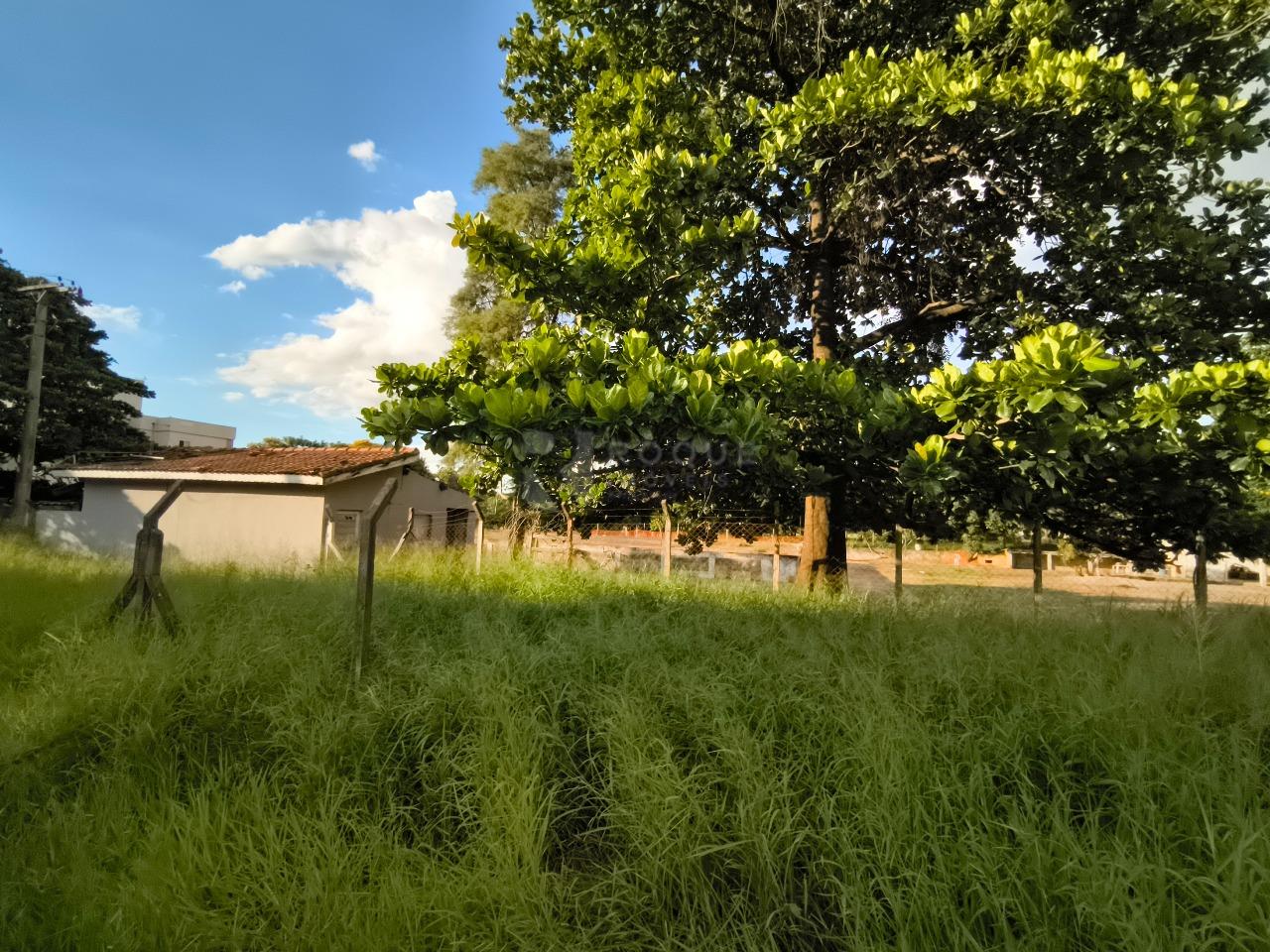 Área à venda no bairro Jardim da Graminha: 