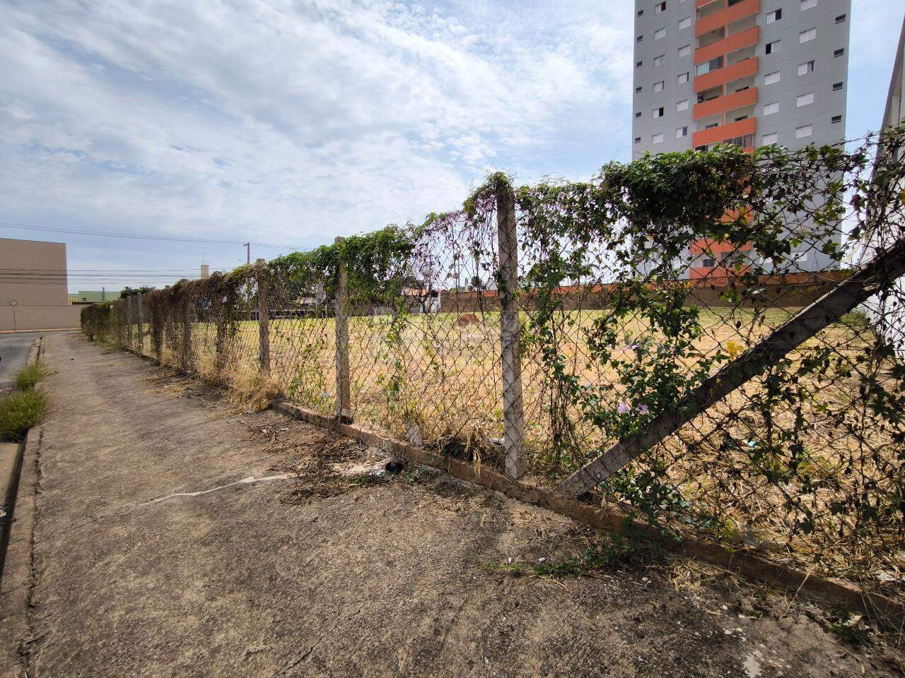 Terreno à venda no bairro Chácaras Antonieta: 
