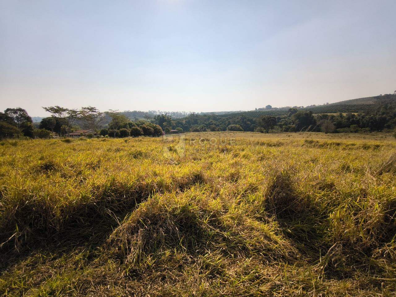 Sítio à venda no bairro Área Rural de Limeira: