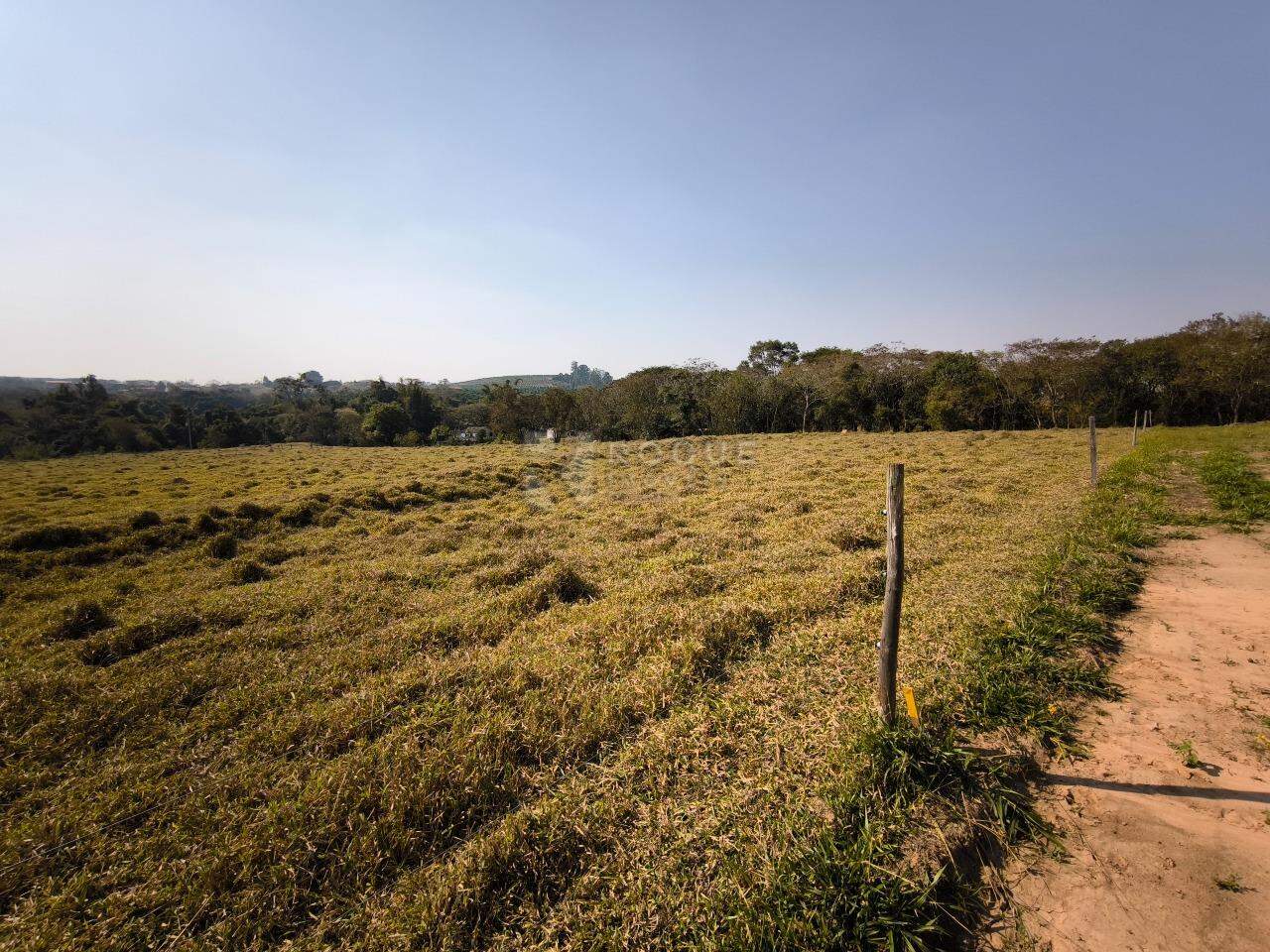 Sítio à venda no bairro Área Rural de Limeira: