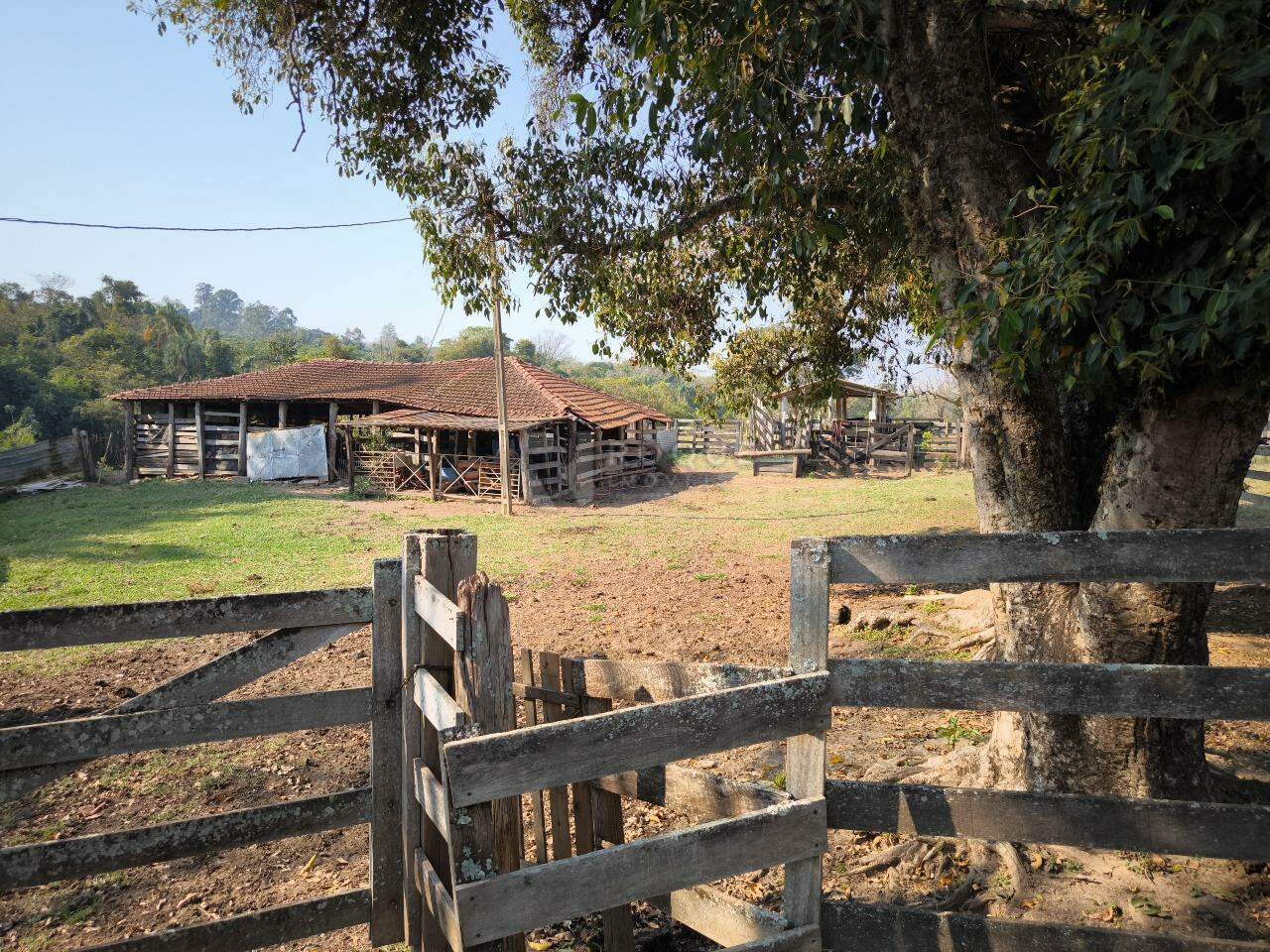 Sítio à venda no bairro Área Rural de Limeira: CURRAL