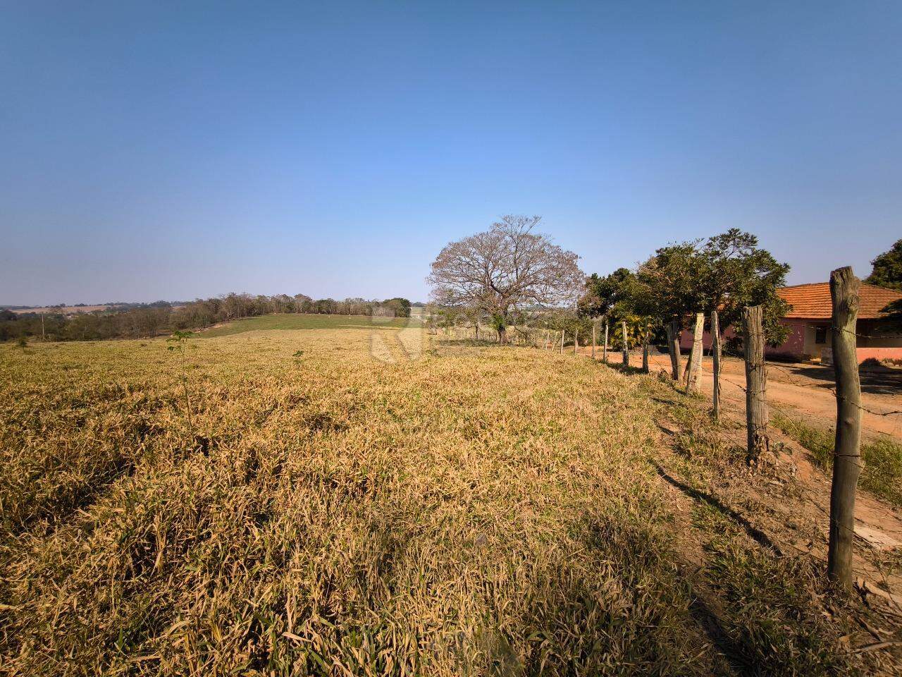 Sítio à venda no bairro Área Rural de Limeira: