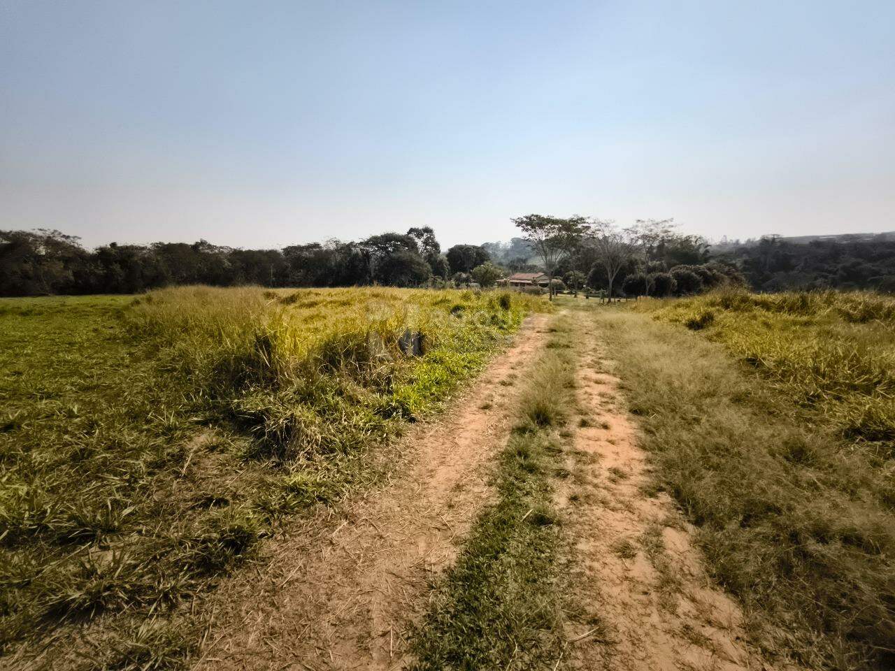 Sítio à venda no bairro Área Rural de Limeira: