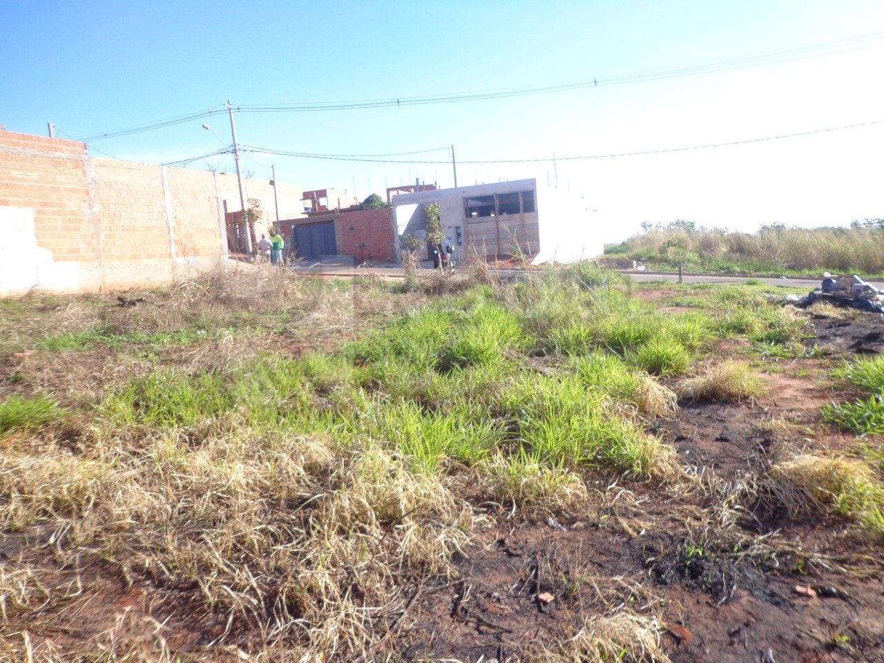 Terreno à venda no bairro Residencial Palmeira Real: 