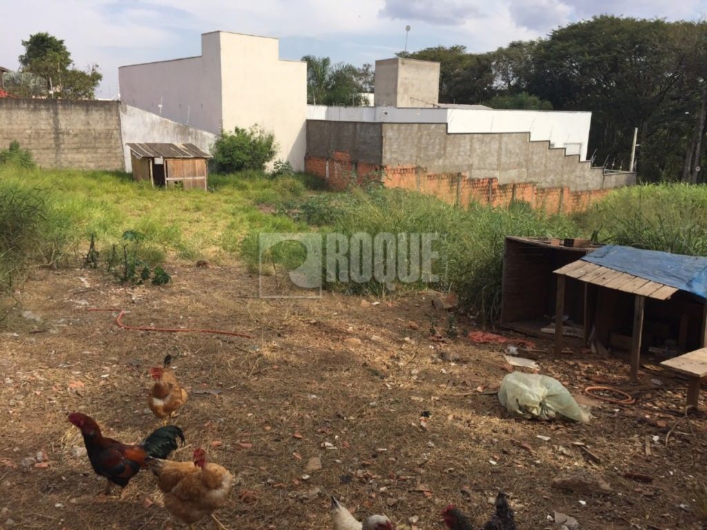 Terreno à venda no bairro Vila Limeiranea: 