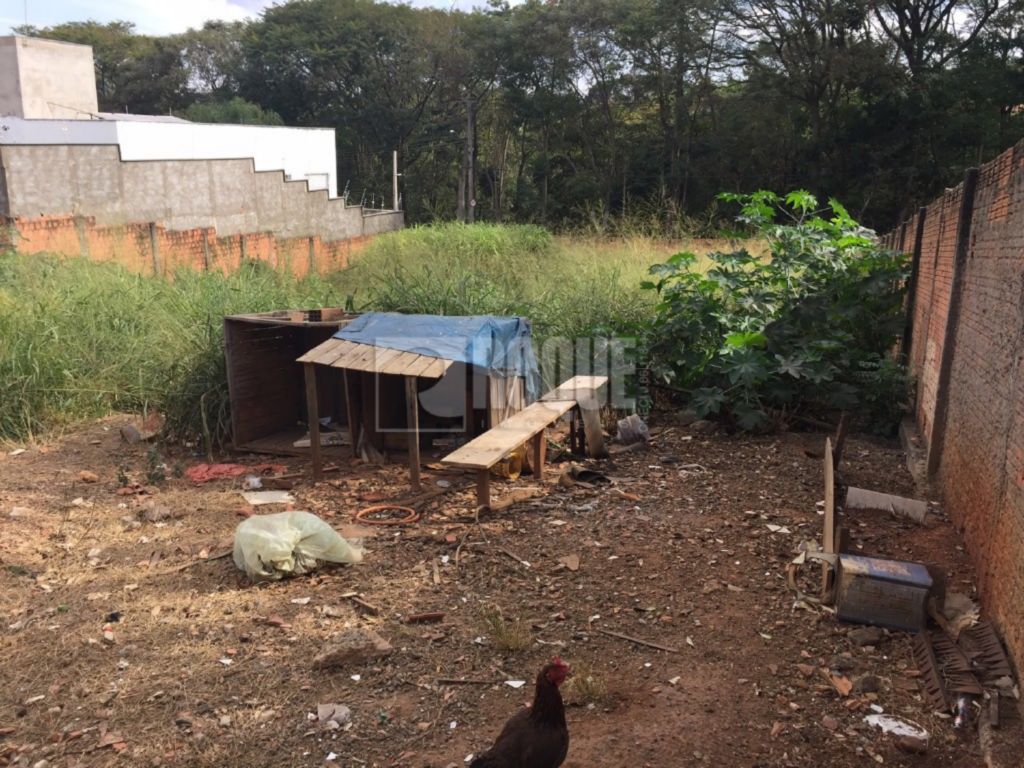 Terreno à venda no bairro Vila Limeiranea: 
