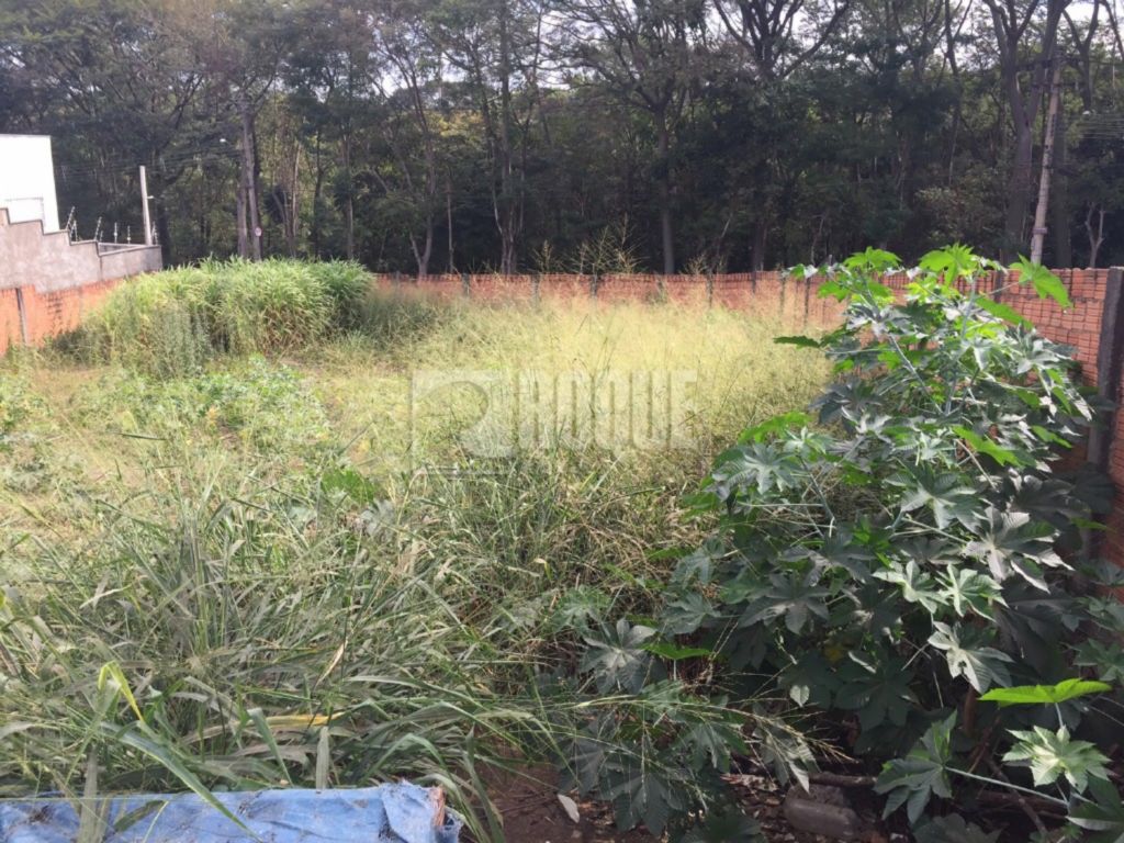 Terreno à venda no bairro Vila Limeiranea: 