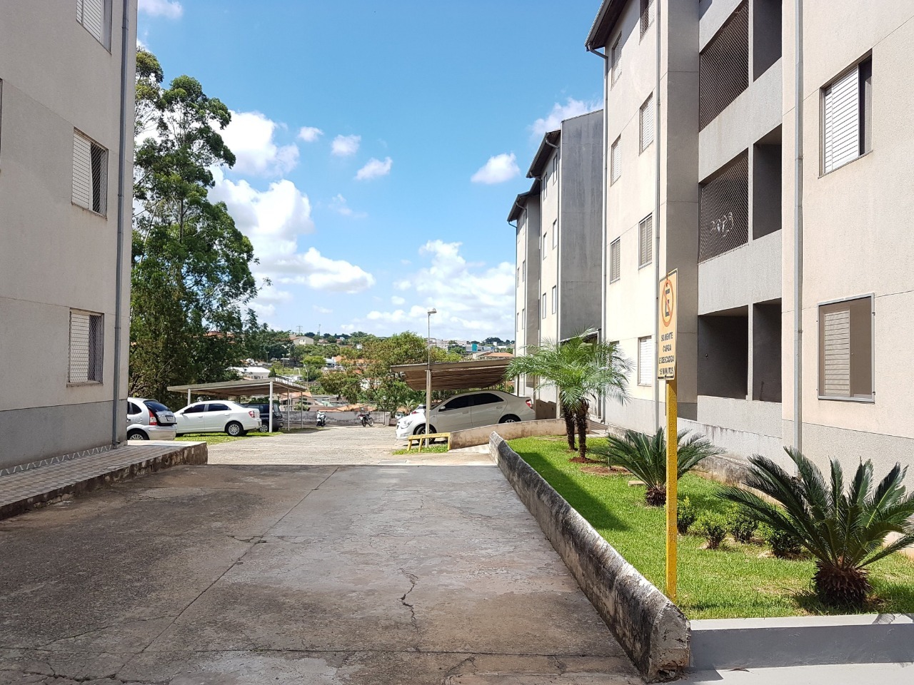 Apartamento à venda no bairro Jardim Maria Flora: 