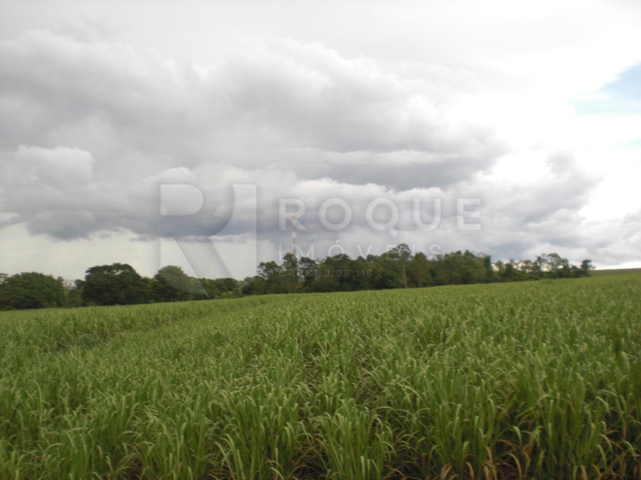 Área à venda no bairro Bairro dos Lopes: 