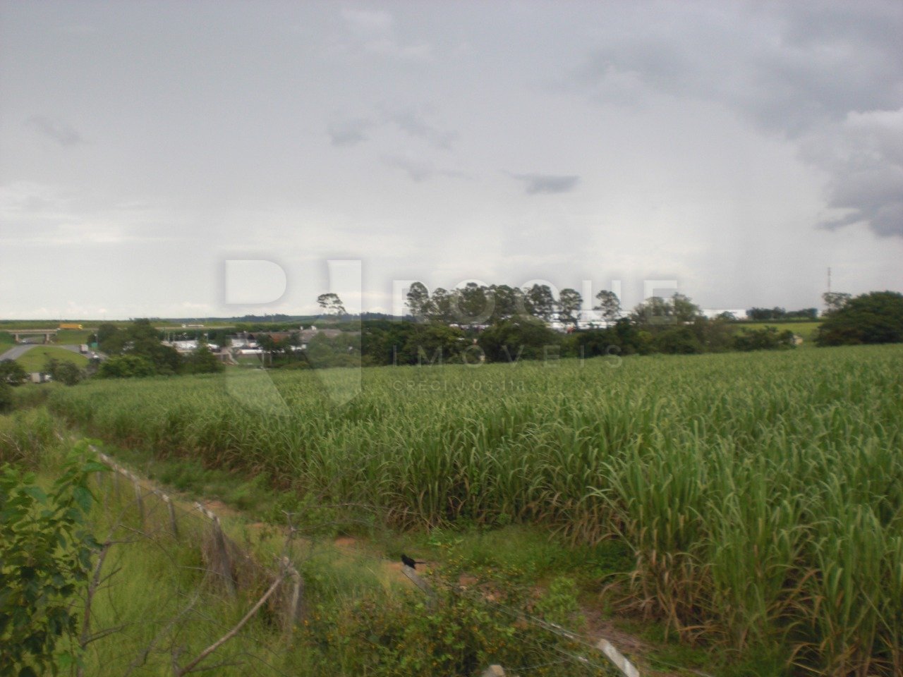 Área à venda no bairro Bairro dos Lopes: 