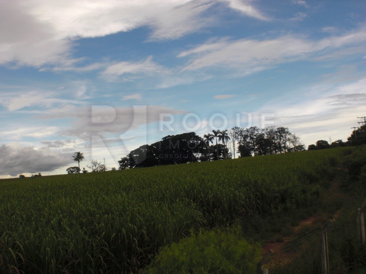 Área à venda no bairro Bairro dos Lopes: 