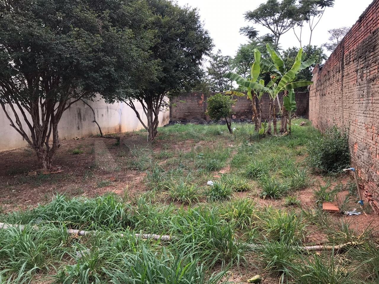 Terreno à venda no bairro Jardim Parque Novo Mundo: 