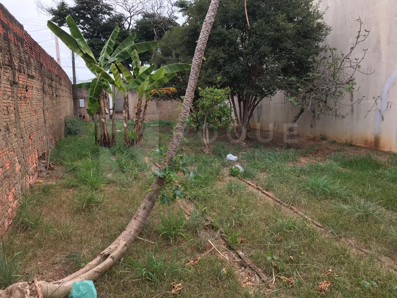 Terreno à venda no bairro Jardim Parque Novo Mundo: 