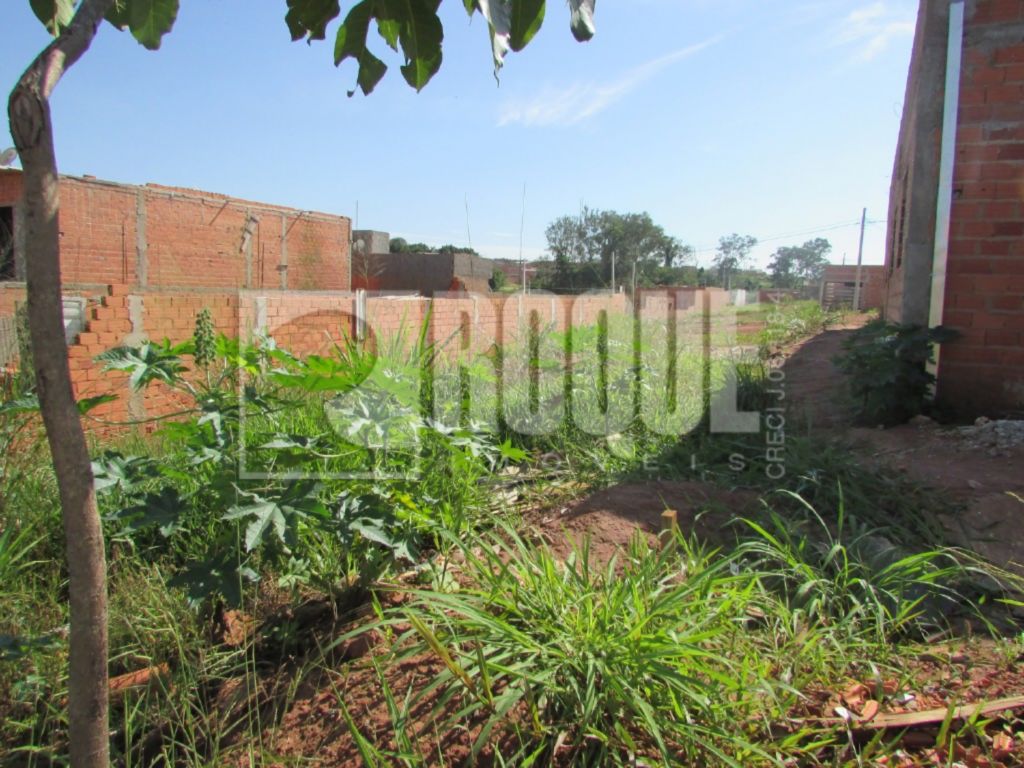 Terreno à venda no bairro Residencial Palmeira Real: 