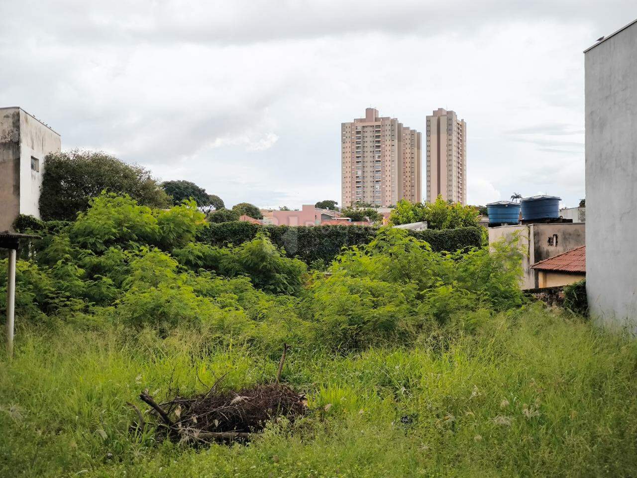 Terreno à venda no bairro Centro: 