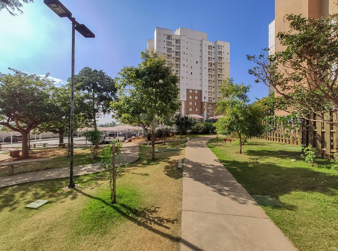Apartamento para aluguel no bairro Jardim Parque Novo Mundo: Área do condomínio 