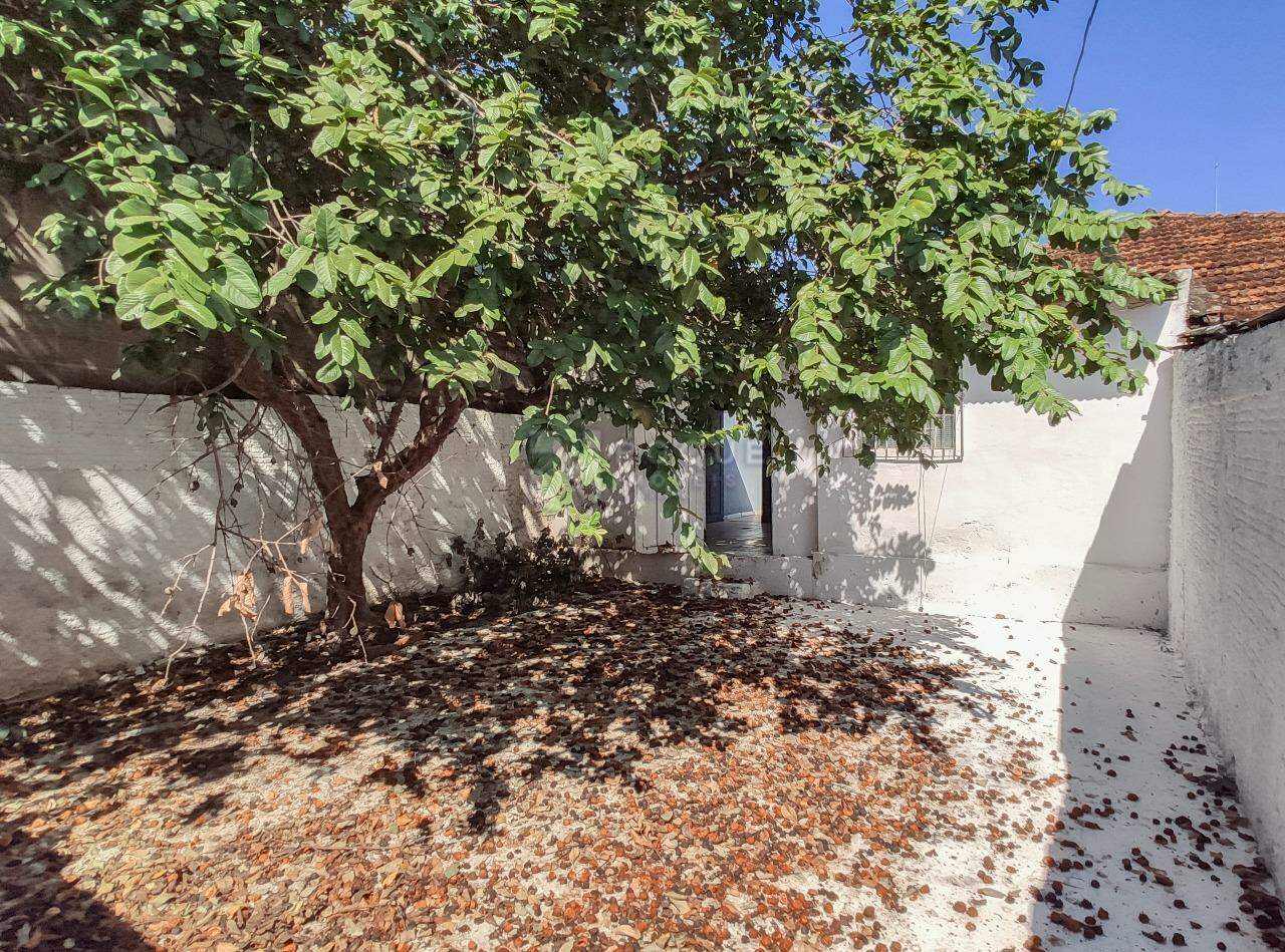 Casa Residencial para aluguel no bairro Jardim Piratininga: Fundo 