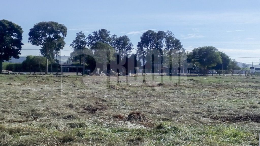 Terreno para aluguel no bairro Residencial Colinas do Engenho I: Terreno