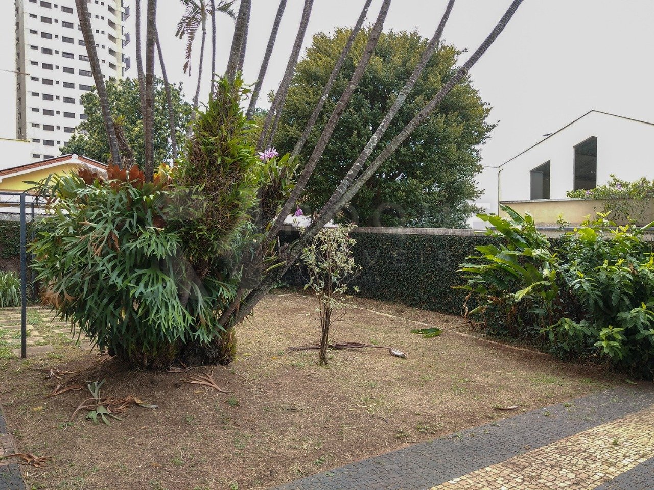 Casa Residencial para aluguel no bairro Centro: Quintal