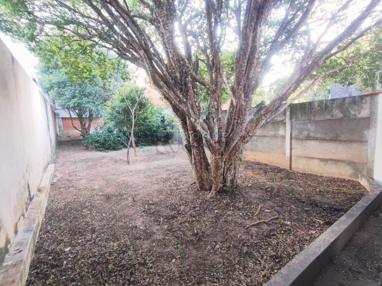 Casa Residencial para aluguel no bairro Vila Cristovam: Fundos