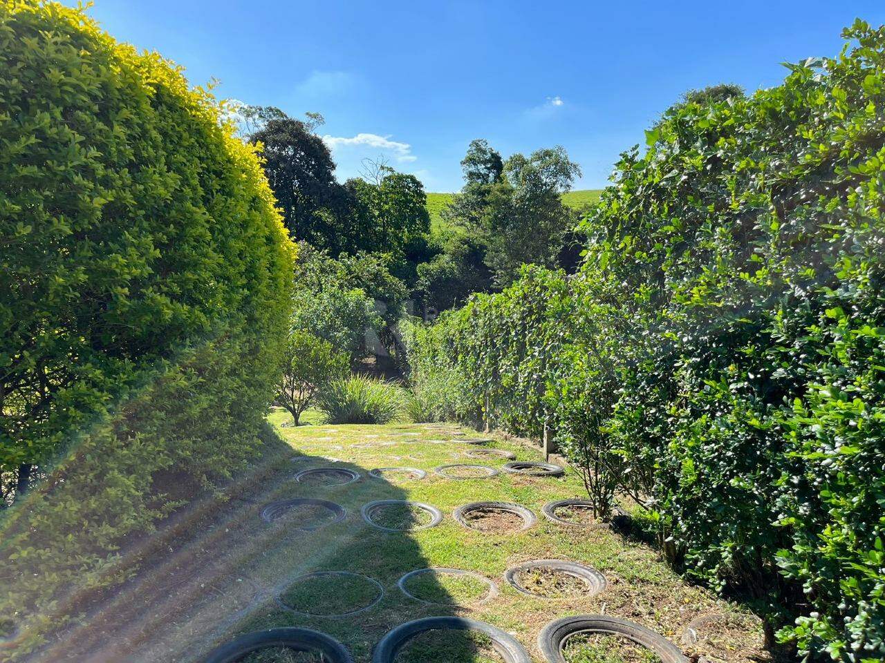 Chácara à venda no bairro Jardim Lagoa Nova: POMAR