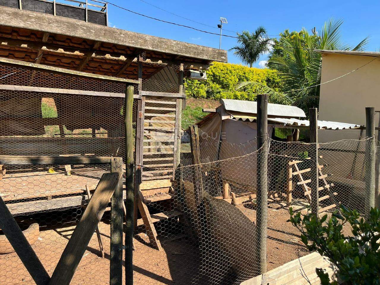 Chácara à venda no bairro Jardim Lagoa Nova: GALINHEIRO