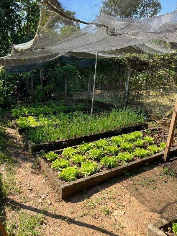 Chácara à venda no bairro Jardim Lagoa Nova: HORTA
