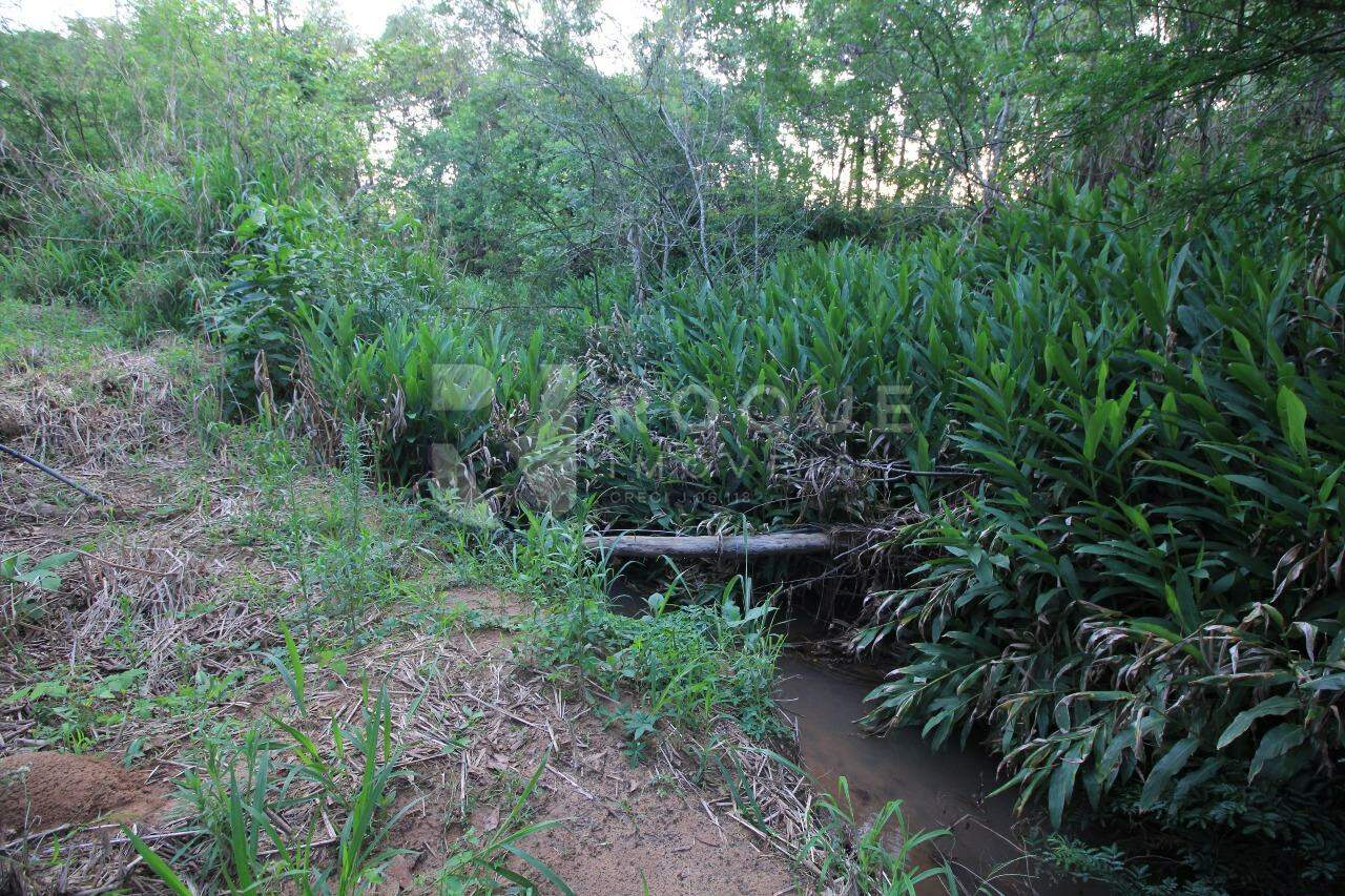 Sítio à venda no bairro Bairro do Pinhal: Córrego